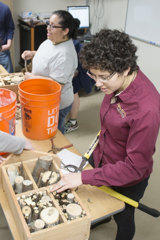 Plant science major Natasha Aybar trims twigs and small logs to stuff to create cavities for a bee hotel during a workshop at the University Farm. 