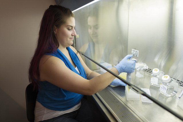 Liz Bianchini examines samples in the Holt Hall lab.