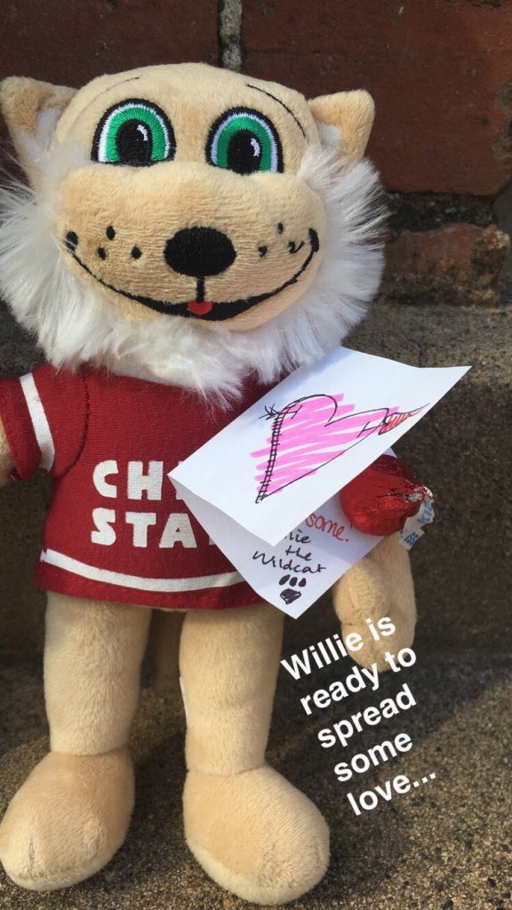 Willie the Wildcat stuffed animal holding a valentine card