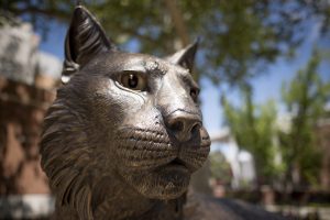 The 7-foot-long, 1,500-pound bronze statue, designed and created by artist Matthew Gray Palmer, is now proudly displayed in Wildcat Plaza in front of the Bell Memorial Union along West Second Street.
