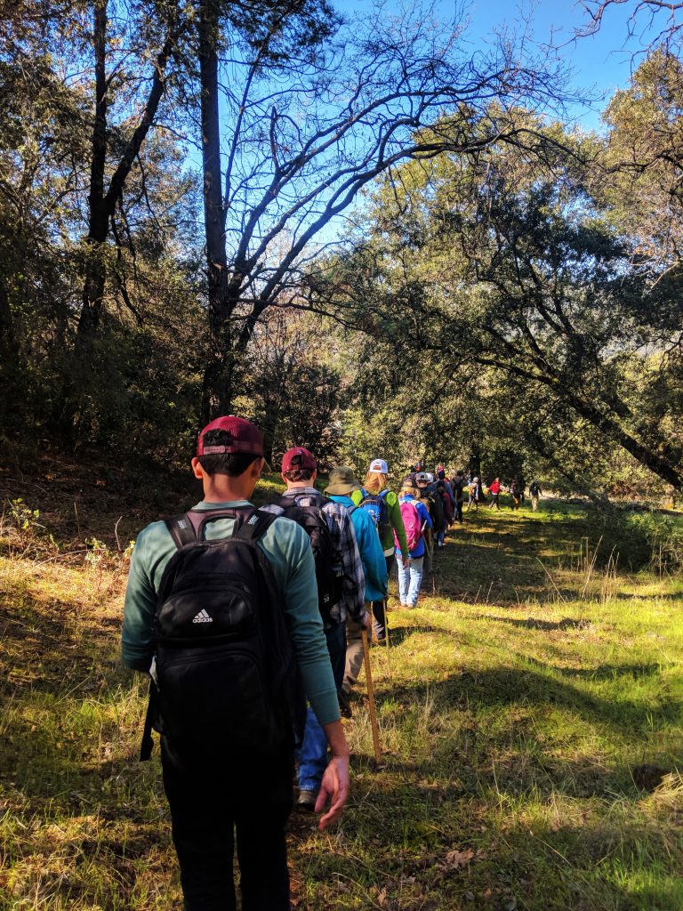 Students walk single file through the trees.