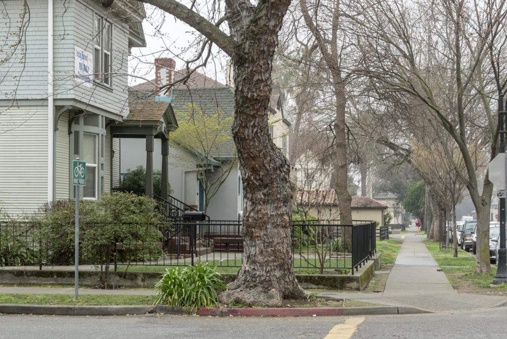 Houses close to the Chico State campus on a foggy February day.
