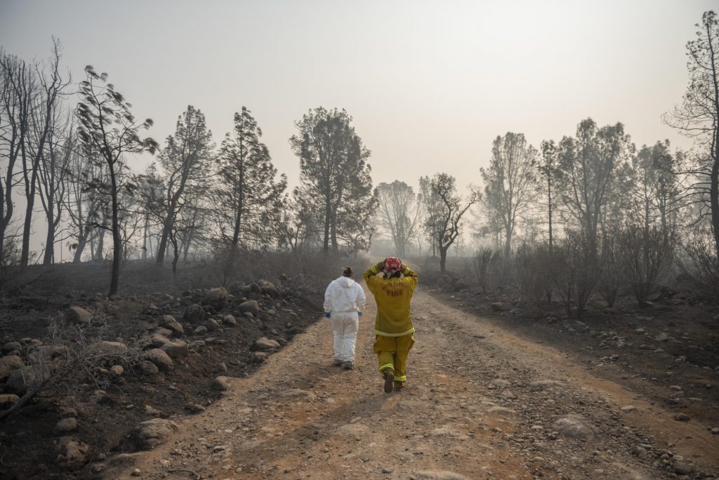 Two individuals walk down a dirt road flanked by burned trees and blackened soil.