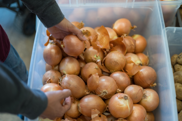 A person reaching into a container full of yellow onions and grabbing one.
