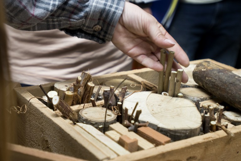 A hand arranges sticks and logs in a box to make a bee hotel