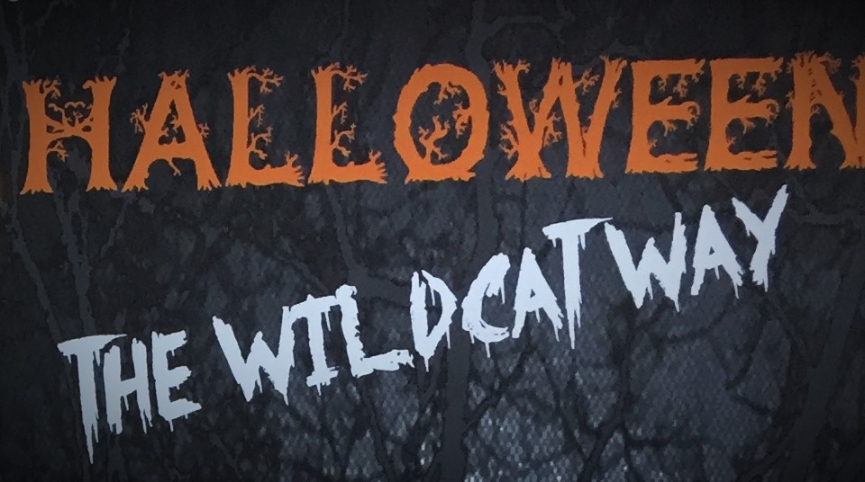 A graphic stating "Halloween The Wildcat Way."
