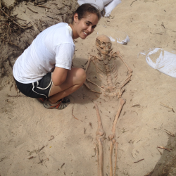 Students in the process of excavating a skeleton.