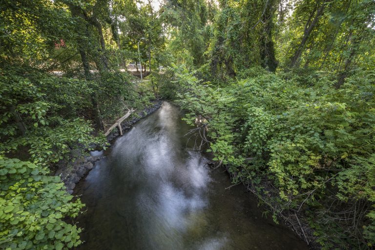 Big Chico Creek flows between tree-lined banks.