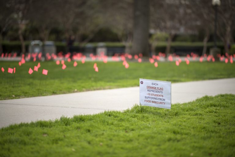 A field filled with orange flags reading "Each orange flag represents 15 students suffering from food insecurity."