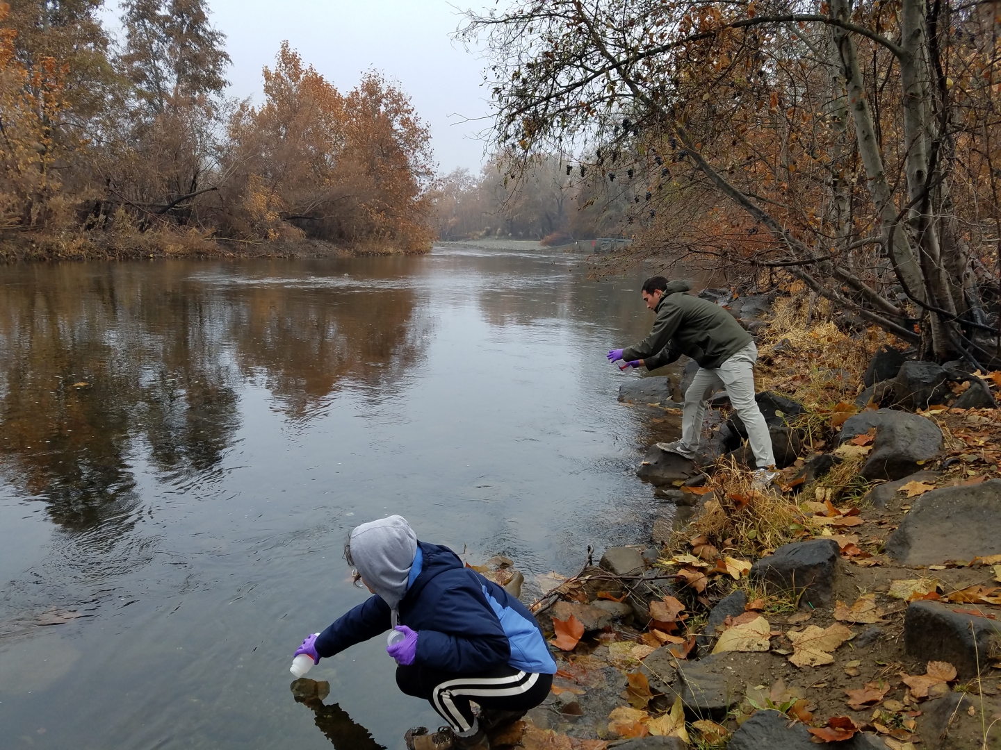 Students dressed in warm clothes stand on the bank of a creek to scoop out water.