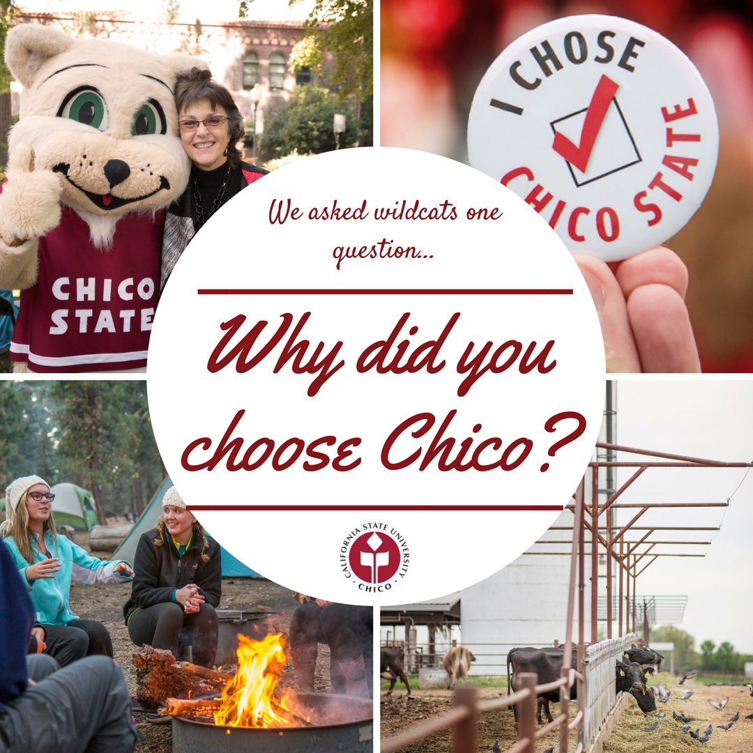 We asked Wildcats one question... Why did you choose Chico?