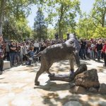 The wildcat statue from the back with the crowd looking on