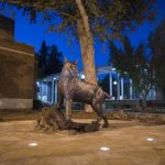 Dramatic lighting shows the statue in Wildcat Plaza at night