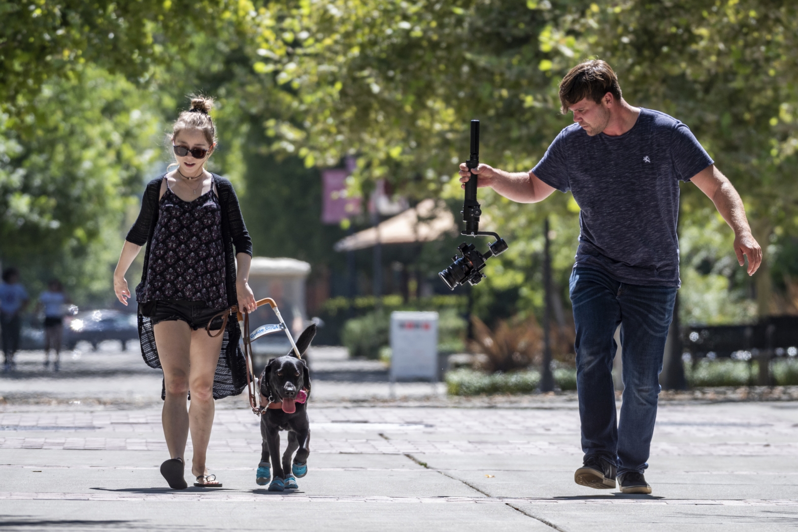 Olivia Merz and Tartan walk down the campus promenade as a videographer holds a camera out alongside them.