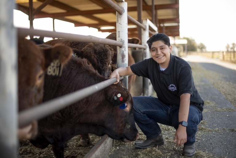 Jonathan Najera poses next to cattle at the University Farm.