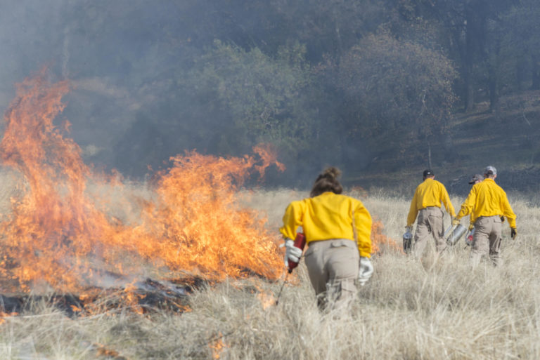 Chico State students from a Conservation and Restoration class learn about fire management at the Big Chico Creek Ecological Reserve.
