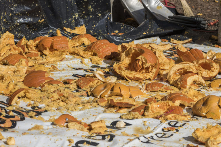 Pieces of smashed pumpkins lie on a tarp during the annual Pumpkin Drop on the Chico State campus.