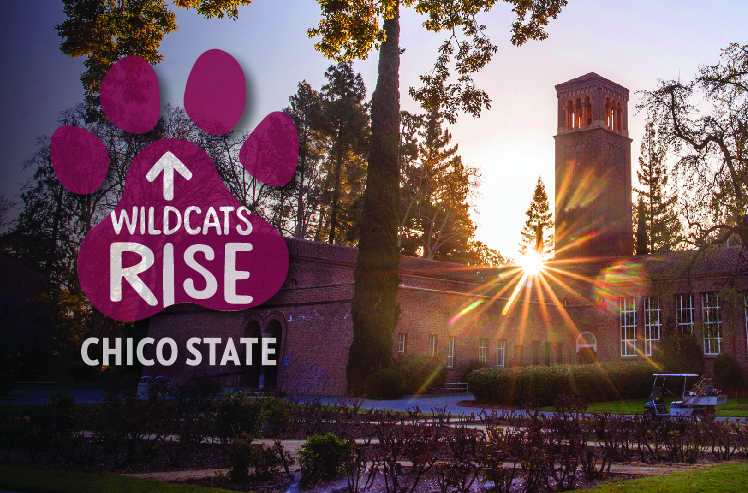 The Wildcats Rise logo is seen over a sunrise behind Trinity Hall.