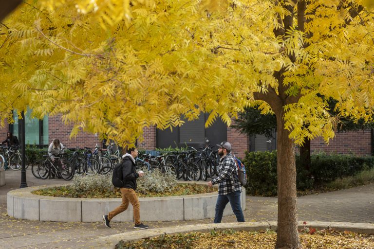 Students walk past ginkgo trees in front of the Student Services Center