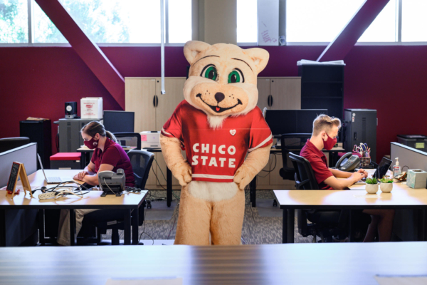 A cardboard cutout of Willie the Wildcat stands between two students socially distanced and working at desks