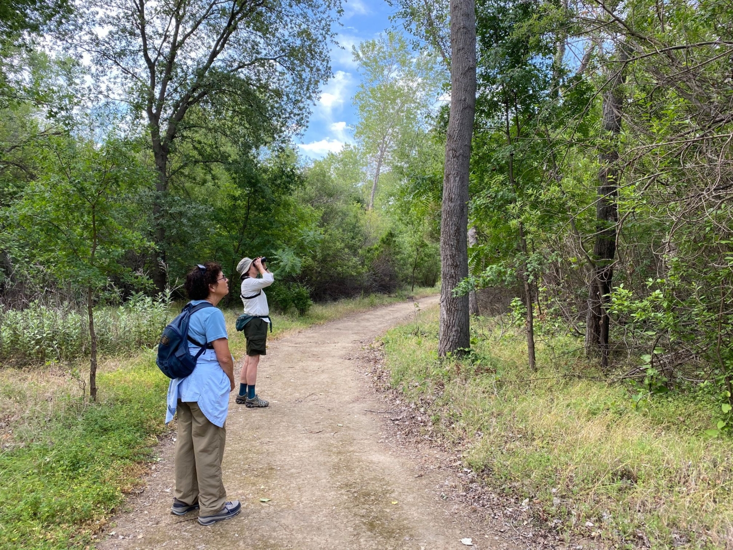 Two individuals stare up into the trees while on a dirt path of a riparian area.