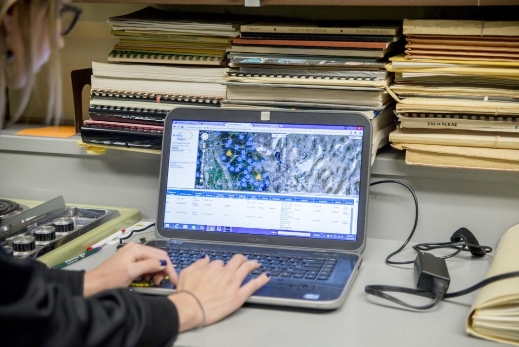 A student works on a computer in the herbarium.