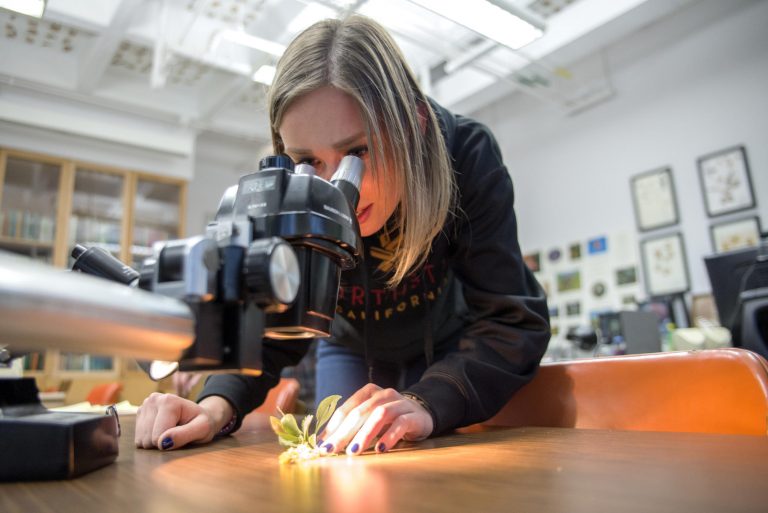 Agriculture major Kristin Quigley peers into a microscope.