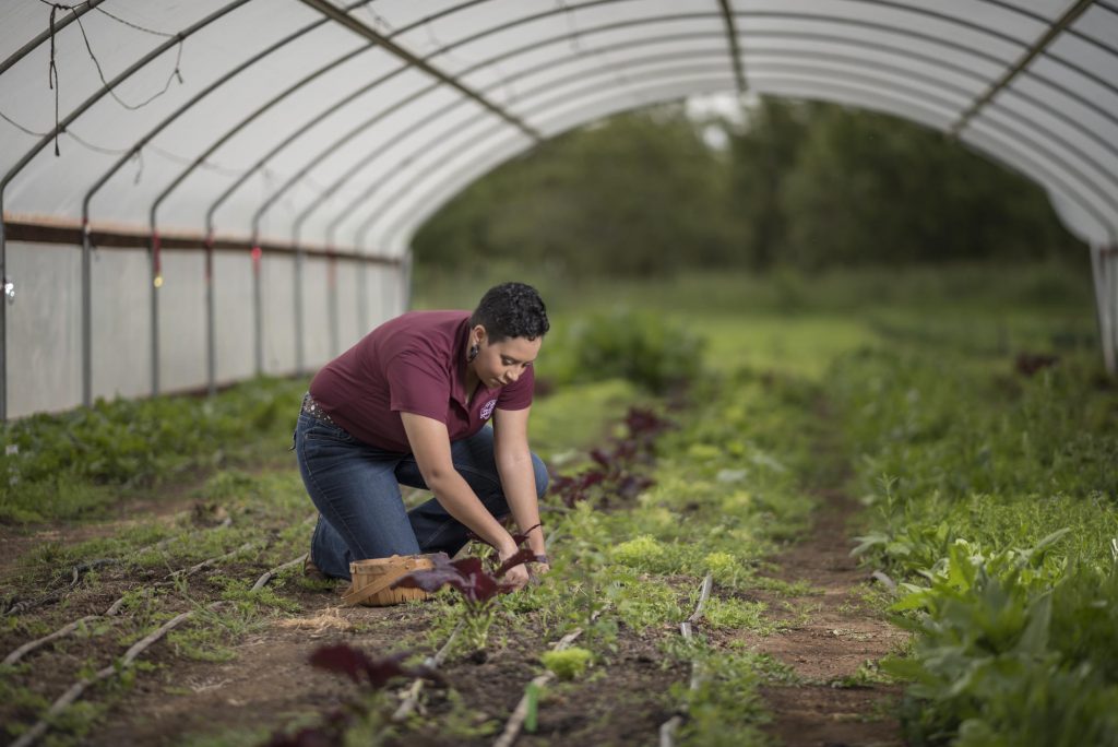 Kaeli McCarther works in an vegetable patch.