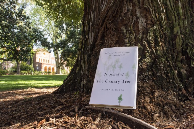 This year's Book in Common, "In Search of the Canary Tree," rests against a tree outside Kendall Hall on a sunny spring day.