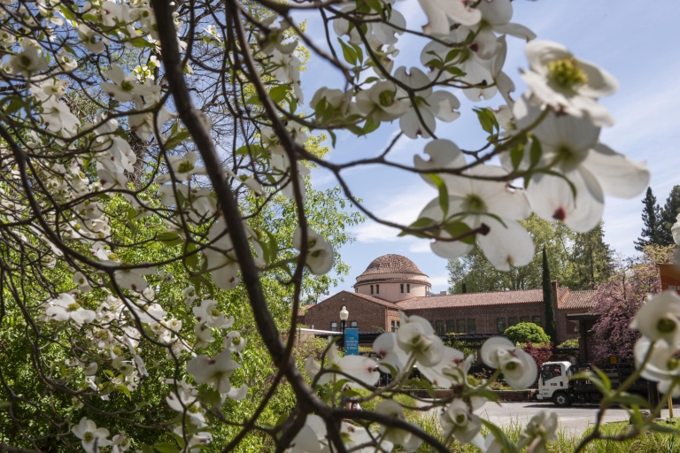 Photo of Kendall Hall seen through the branches of bloomed flowers.