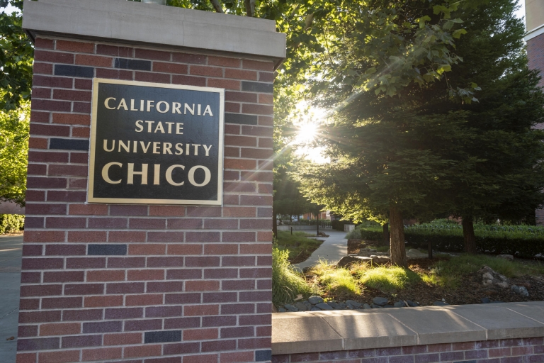The early morning sun shines through the trees on the Chico State campus.