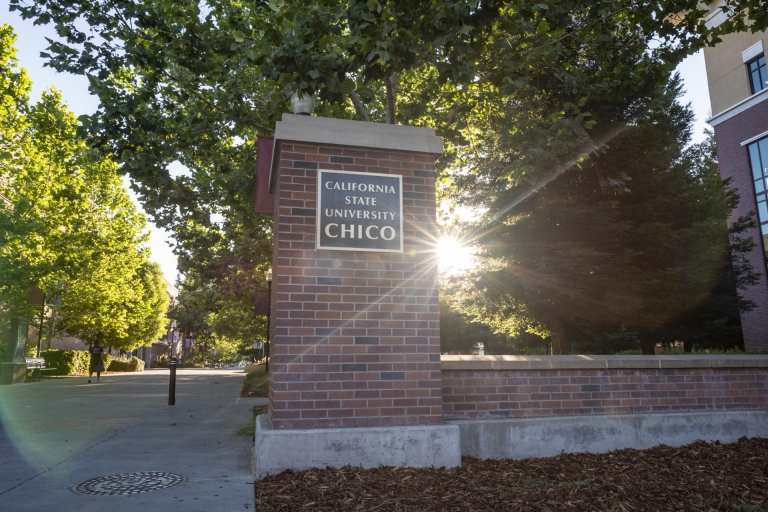The summer sun shines through the many trees on the Chico State campus.