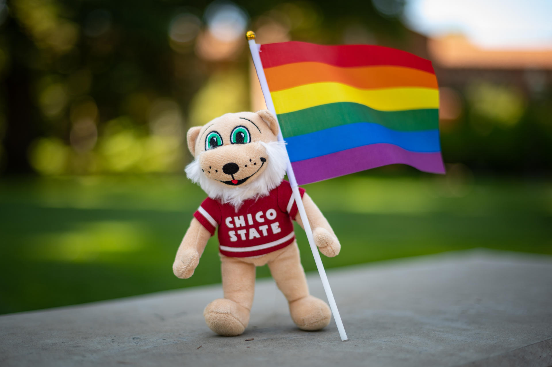 A plush doll of a wildcat holds a pride flag