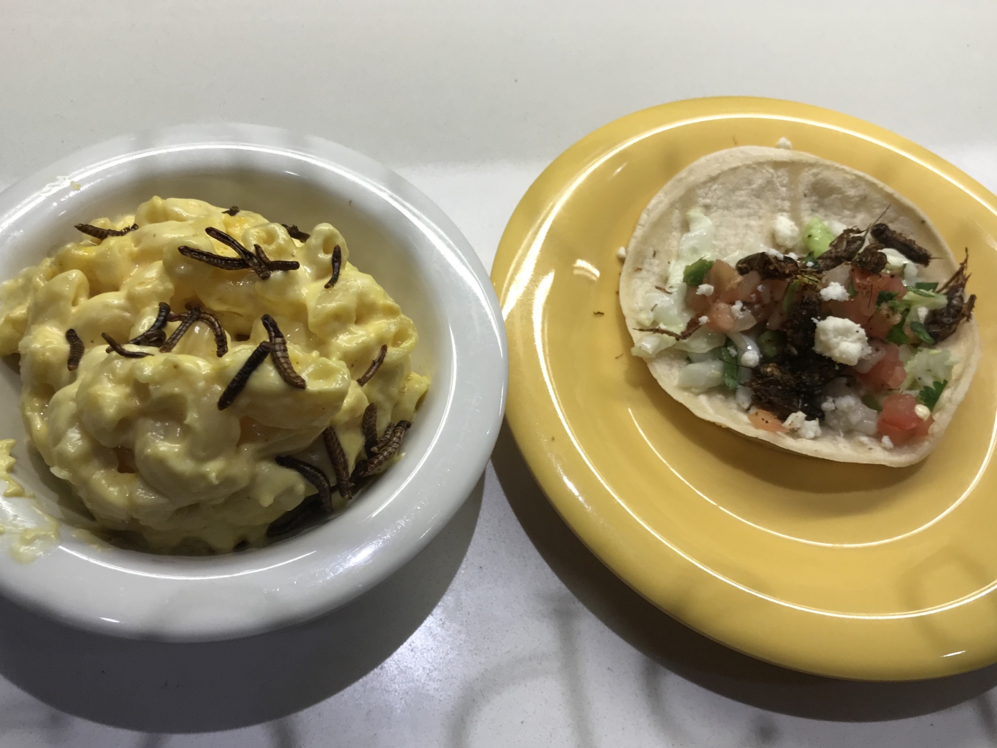 A bowl of mac n' cheese with crunchy worms and a dish with a cricket taco.