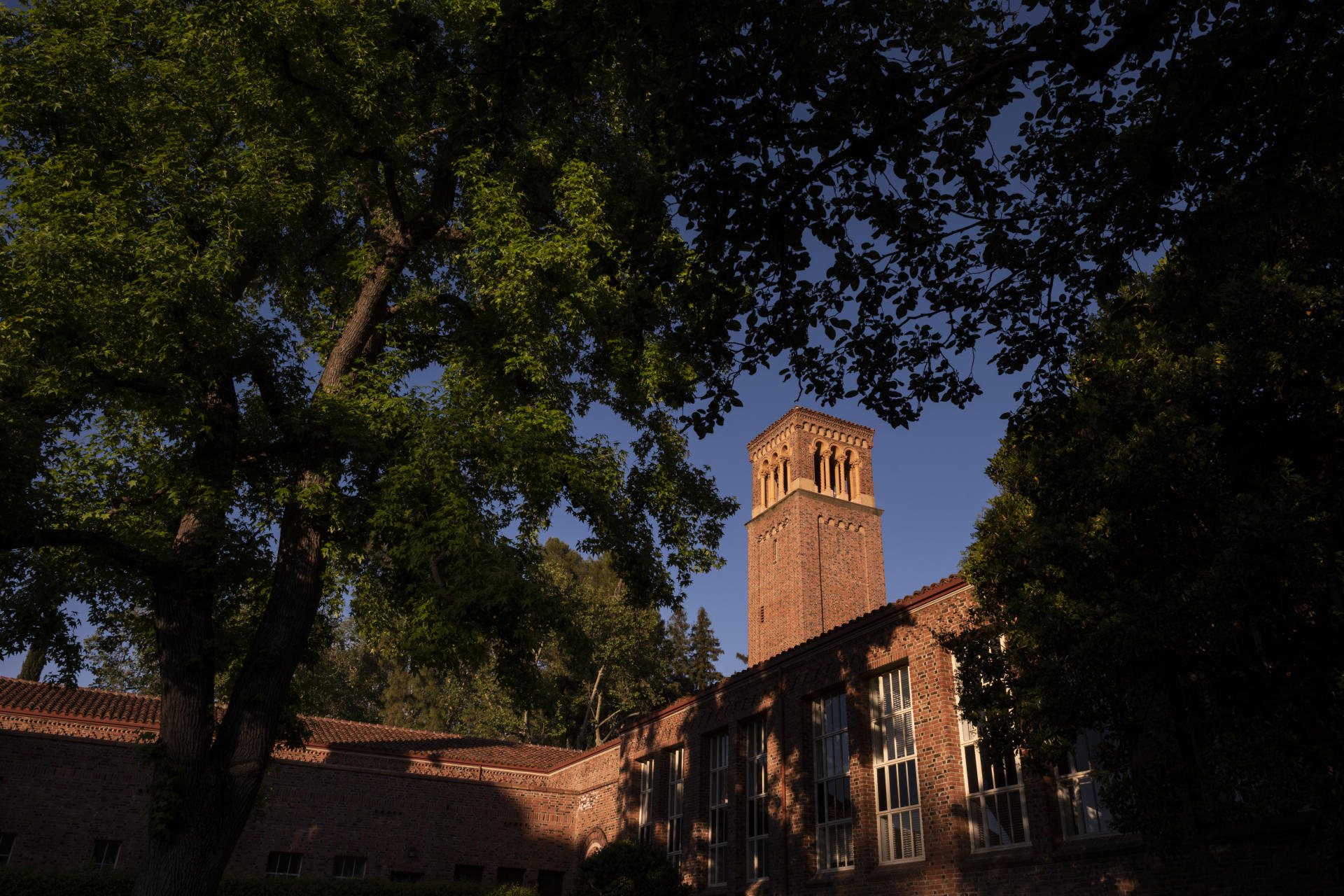 A tall brick building glows in the late afternoon sunshine with trees in the foreground.