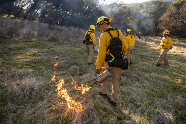 Several people in a grassy area set small prescribed fires with fire canisters.