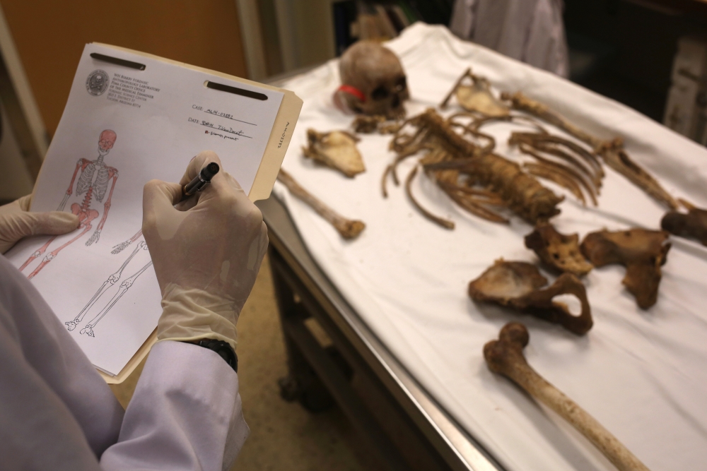  A forensic anthropologist inventories skeletal bones at the Pima County Office of the Medical Examiner. (John Moore / Getty Images) 