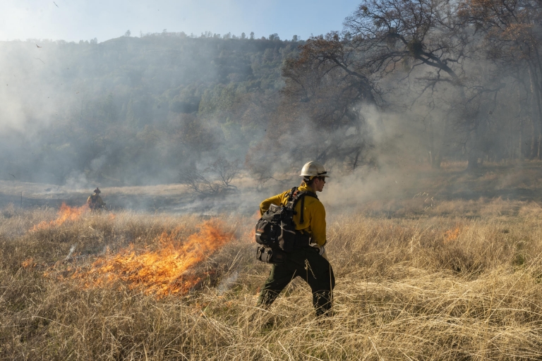 A young firefighter stands among burning brush during a prescribed fire.