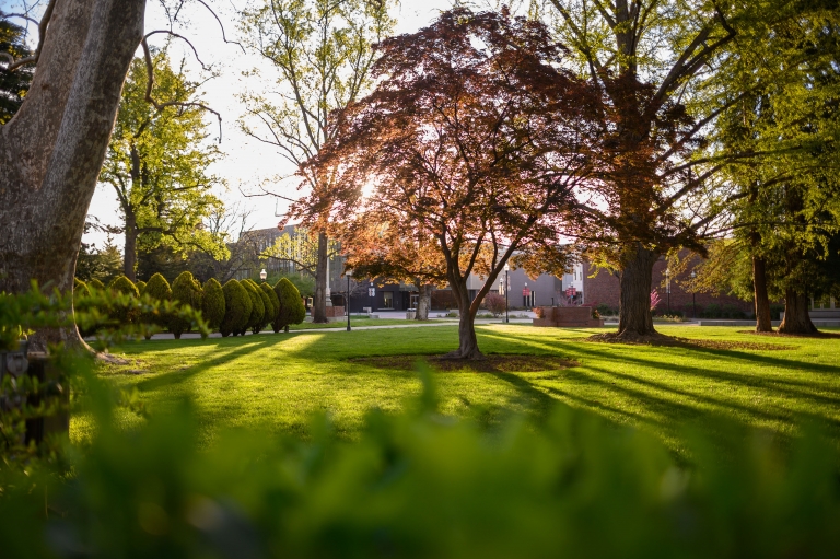The sun shines through the trees on the Kendall Hall lawn.