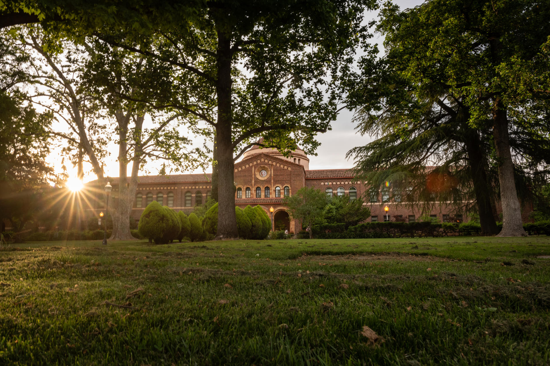 The late-afternoon sun peeks through branches and leaves in an academic setting.