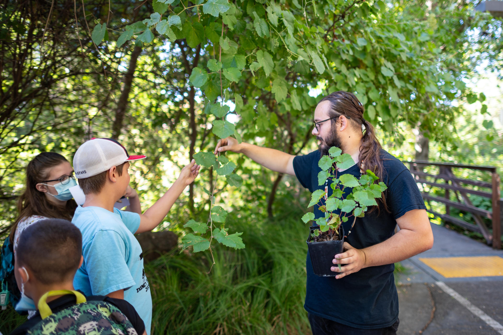 He-Lo Ramirez holds out a branch of wild grapes for students to touch near a campus bridge.