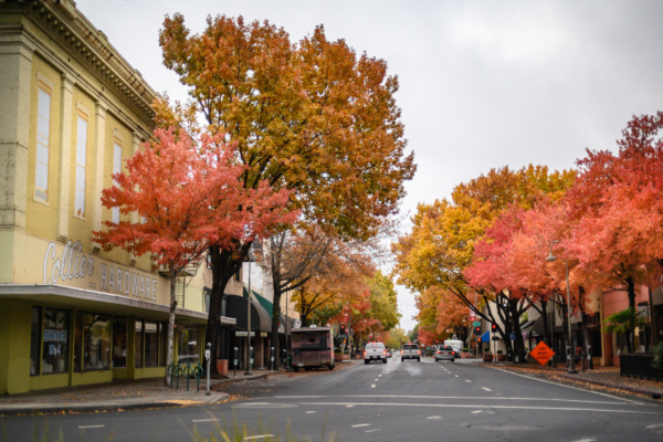 Fall colors of red and gold in the downtown street trees brighten Broadway Street in downtown Chico.