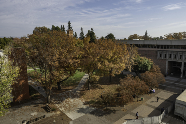 An aerial view of campus shows trees turning color in fall as students walk on campus.