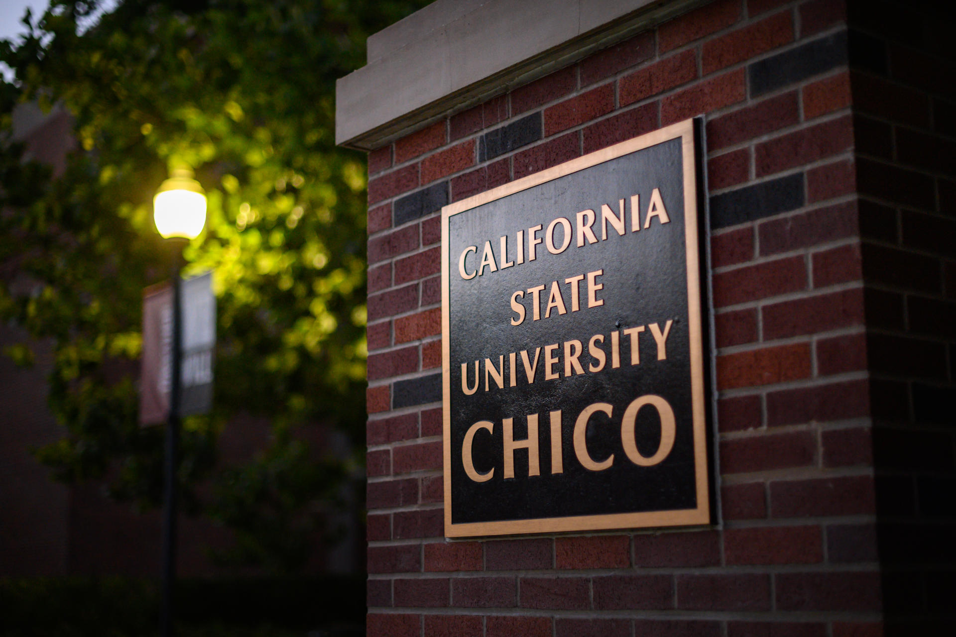 A plaque reading California State University, Chico is displayed on brick during twilight.