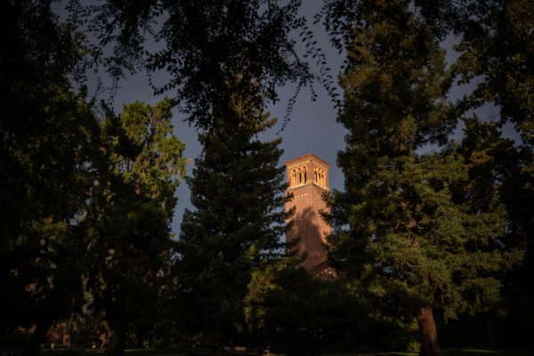 An academic building stands out in sunlight against a darkening sky amongst mature trees.