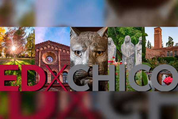 Graphic with trees, buildings on campus, the Wildcat statue, and the three sisters statues in the Rose Garden with "EDXChico" written across the images.