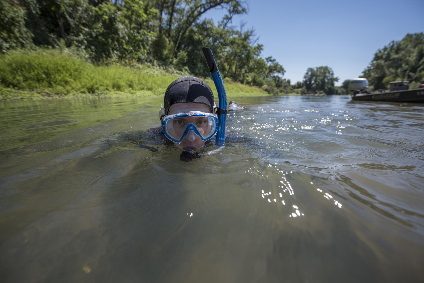 Carlos Estrada wades in a river while wearing snorkeling gear as he conducts research.