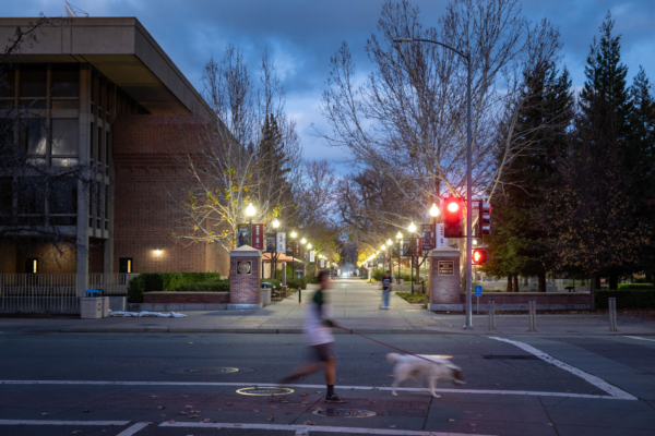 A young man and his dog run past the entrance to a college campus during a late afternoon in winter.