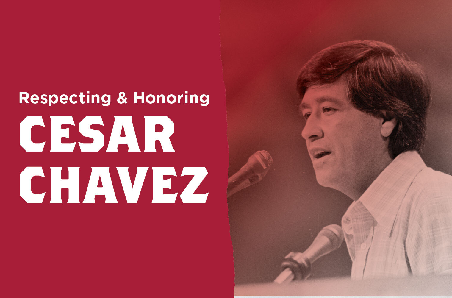 Digital graphic of Cesar Chavez that reads "Respecting and Honoring Cesar Chavez"
