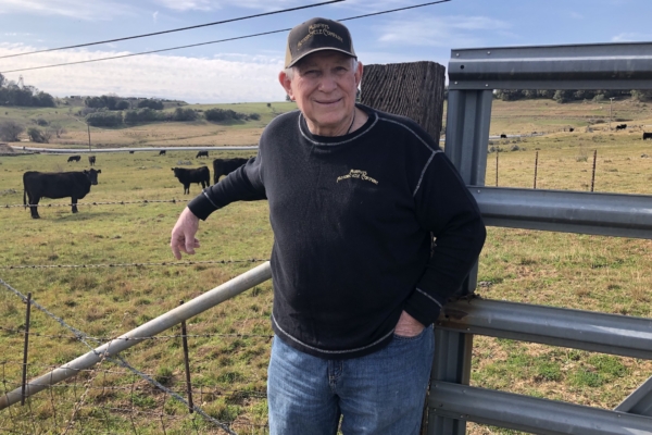 Roy Beck stands in front of a gate with cattle grazing in a pasture in the background